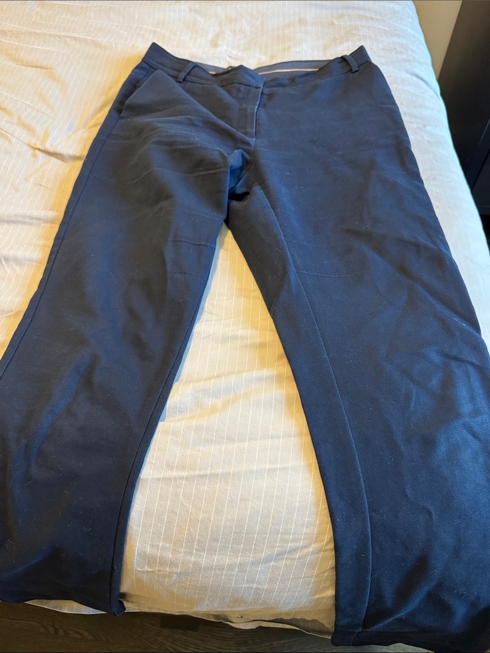 Women's Straight-Leg Pants in Navy